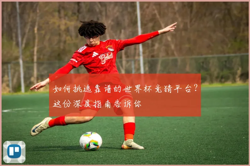 如何挑选靠谱的世界杯竞猜平台?这份深度指南告诉你