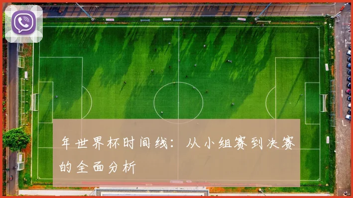 年世界杯时间线：从小组赛到决赛的全面分析