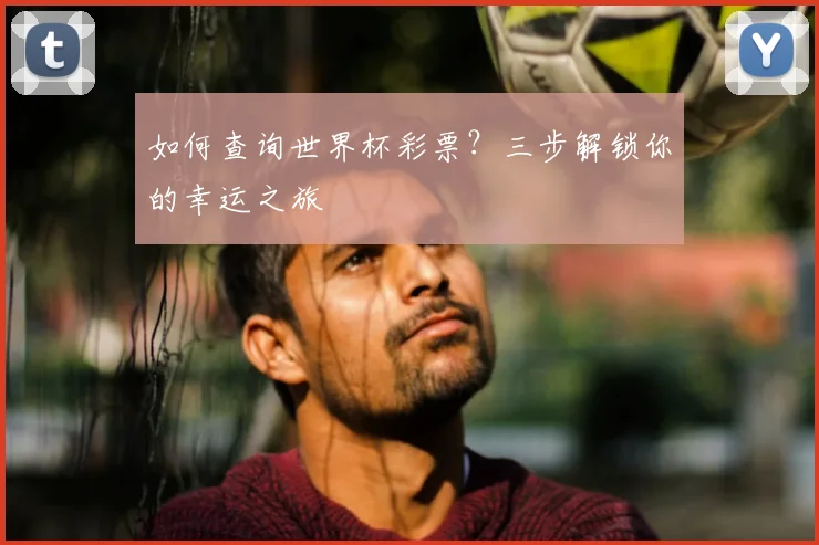 如何查询世界杯彩票?三步解锁你的幸运之旅