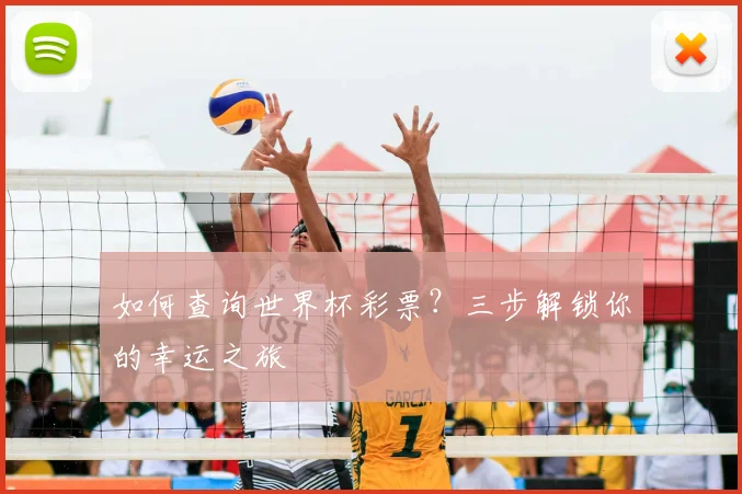 如何查询世界杯彩票?三步解锁你的幸运之旅