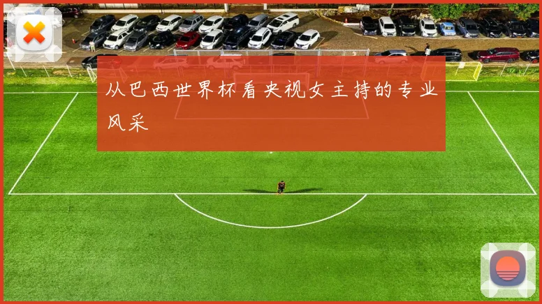 从巴西世界杯看央视女主持的专业风采