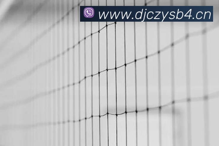 开云在线官网登录appAPP 体育赛事宣传图